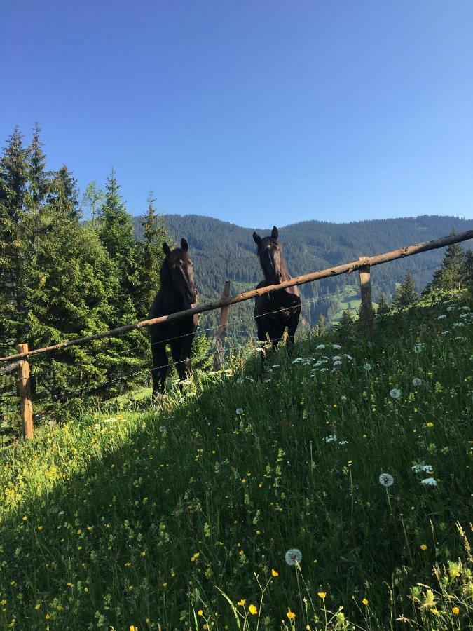Apartmán Bio Bauernhof Oberbenk Wagrain Exteriér fotografie